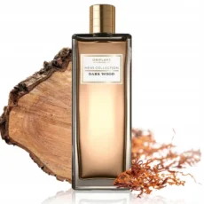 Men's Collection Dark Wood tualetes ūdens